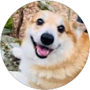 Super Weon profile picture